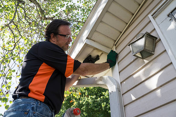 Best Shed Removal  in Martinsburg, PA